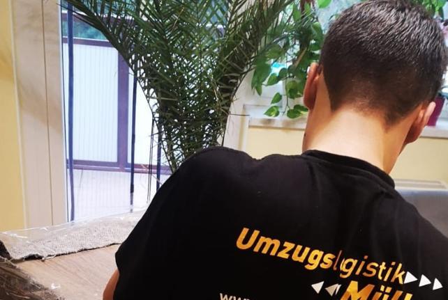 Behördenumzug Preise und Kosten Röderaue